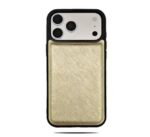 Case Dorado - Imagen 2
